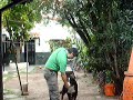 adiestramiento maria la boyero