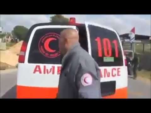 Palestine - What Really Happens In Palestine... MUST WATCH! مقدم من شبكة فلسطين بين اديك https://www.palstine.com https://www.facebook.com/ShbktFlstynBynAdyk https://twi...