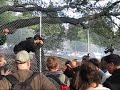 Berkeley Oaks - Falling One Berkeley Oaks - Falling One