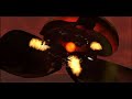 StarCraft #13 - Tassadar\ StarCraft #13 - Tassadar\