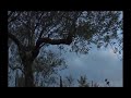video realizzato da luigi oliviero con la partecipazione di benedetto crocco,film divertente che mette in evidenza l'importanza delle energie alternative.