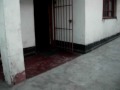 la serpiente fea