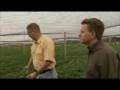 videos de Premier Poultry