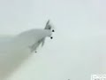 Flying under a bridge