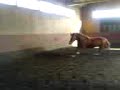 Best gymnastikk hopper