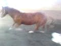 Best gymnastikk hopper