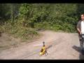 learning to hover