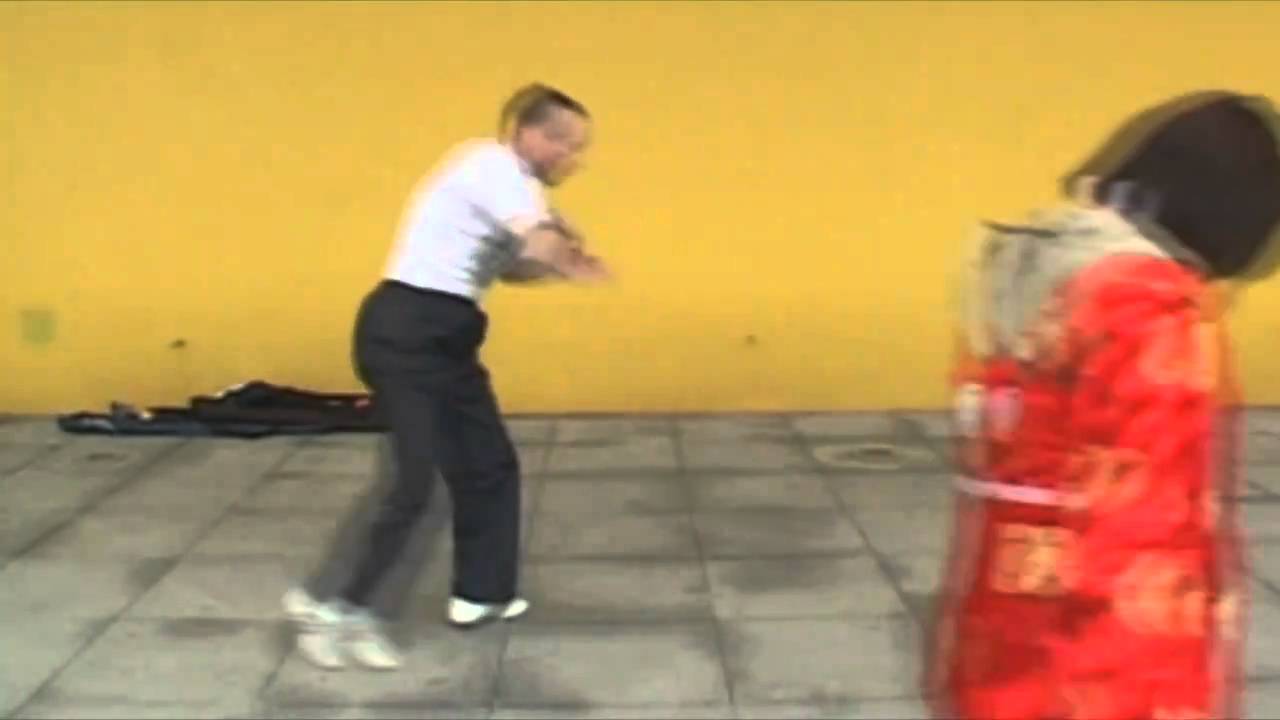 Chen Style  Tai  Ji Quan  Form 38