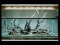 Amano Aquarium in making.