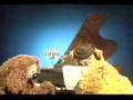 Muppets I Dont Got Rhythm
