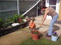 Statio is introduced to a water hose