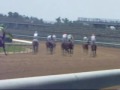 videos de Horse Racing Imperial March