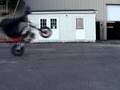 videos de myrtlewood monsters