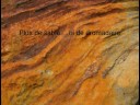 Escalade & Biodiversité des falaises