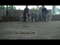 Click here to watch this video Devon does a cool trick!