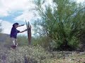 SONORAN SOUND WORK #18