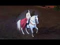 Beautiful Chinese Lady Horseshoe Point Dancing Horse