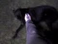 MOV00001.3gp