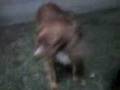 videos de MOV00001.3gp