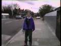 videos de bungle