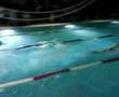 swim