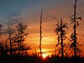 Ft. McMurray, Alberta, Coyotes,  Moon Sets & Sun Rises.