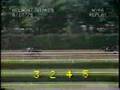 Affirmed - 1978 Belmont Stakes