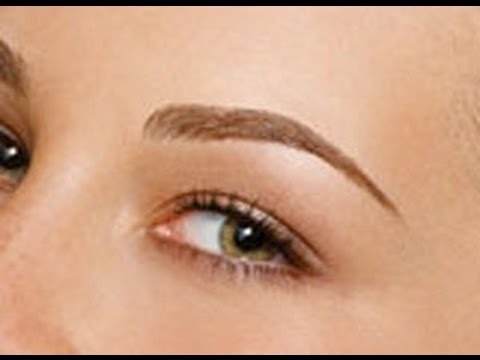 how to grow eyebrows back