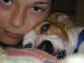 Mylo the loving and adorable
