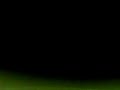 Wuppertaler SV - Bayern M�nchen