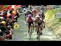 Steffen Wesemann wins RVV 2004 Steffen Wesemann wins RVV 2004