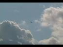 Daniel Lalibert� - Extra 300