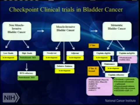 Demystifying Medicine 2015 – Bladder Cancer: Chromosomes and a Major Disease