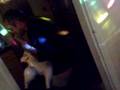 Crazy Sheep shagging - Tree Chopper drunk BLOXWICH