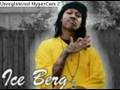 ice berg im the shit