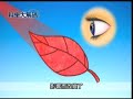 Color Constancy Explained