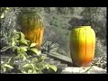 CAC NEWS Holy Smoking Ceramics! Carl Gillberg Pottery.flv