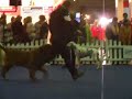 Enferno Best in Group Dortmund Germany