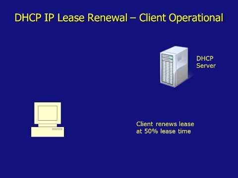 how to obtain dhcp lease