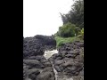 video3.mov Video