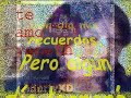 Poema Poema