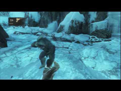 Uncharted 2 : Among Thieves