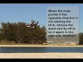 Tutorial kite TAZ MACHINE Tutorial kite TAZ MACHINE