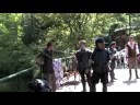 Robin Hood\