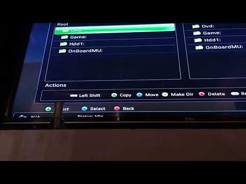 動画