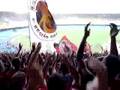 Nova música da torcida do Flamengo - Te sigo a todo lado