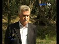 Sinopoli - Tutti al parco (parco dell\