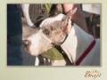 YouTube - Get Rescued in Gulfport FL 2009