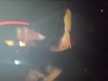 HouseQlassics 2009