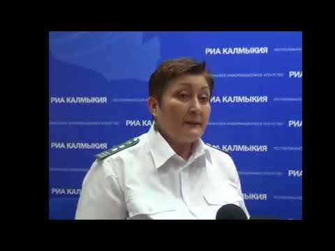 Об обнаружении очага повилики полевой на территории Республики Калмыкия